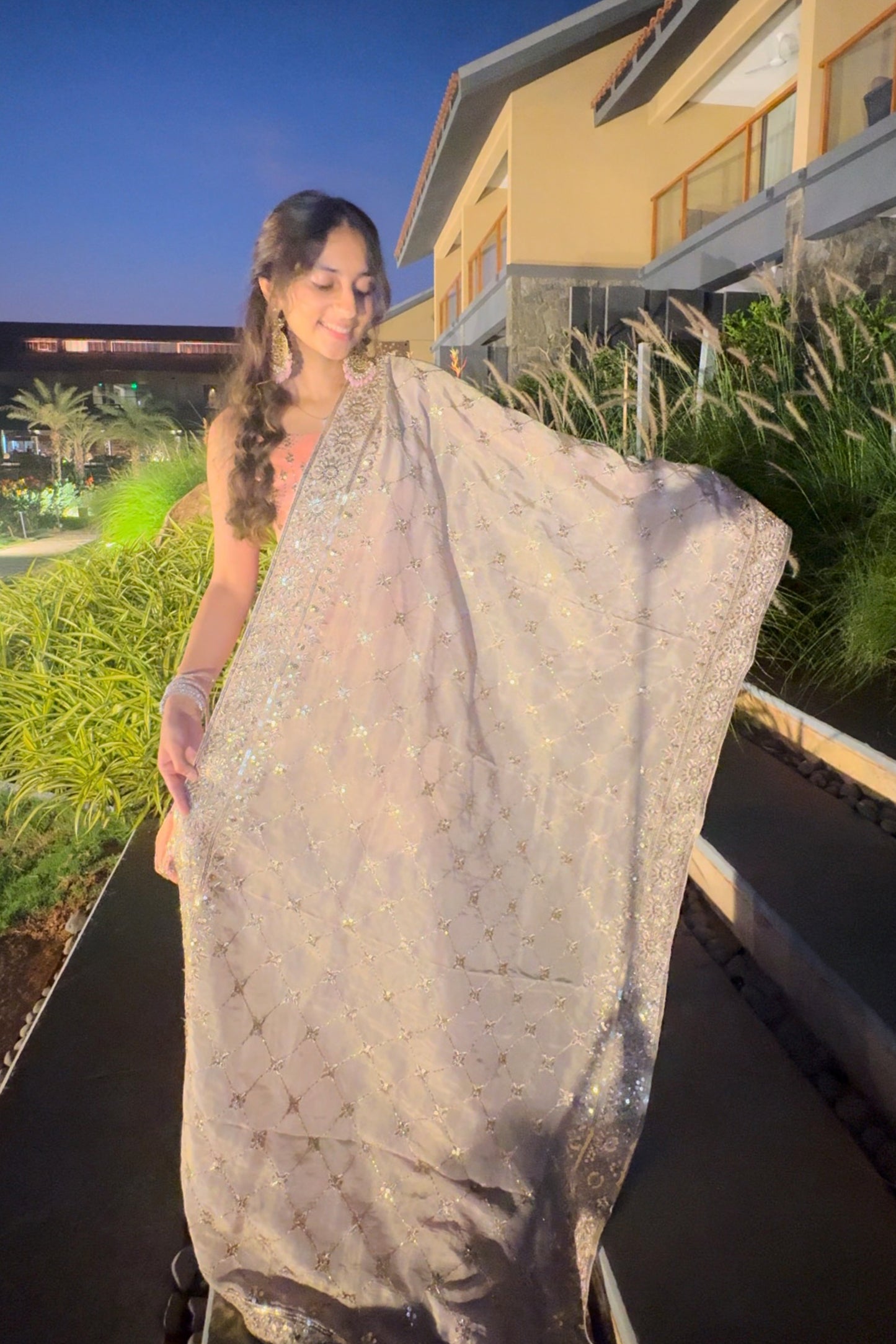 Zari Embroidered Allover and Four Side Border Tissue Dupatta