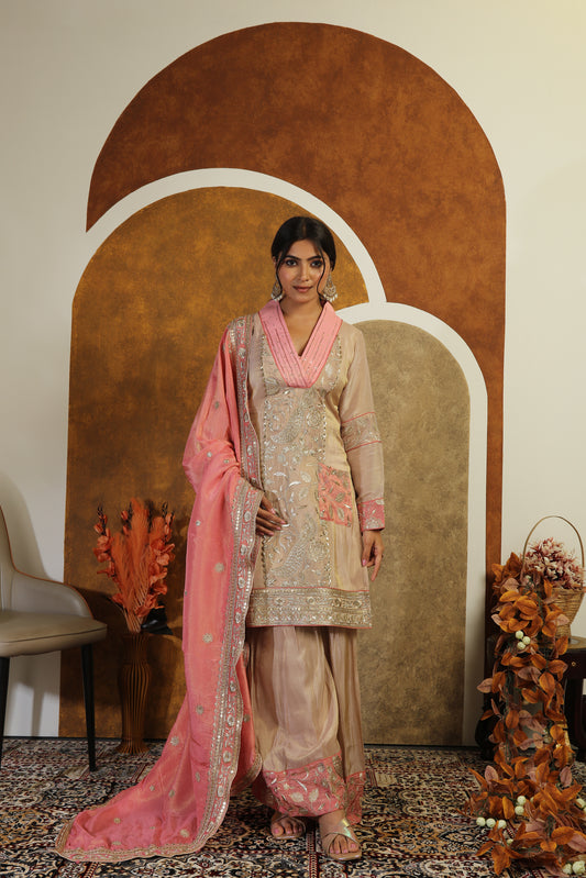 Heavy Zari Tissue Suit with Contrast Detail