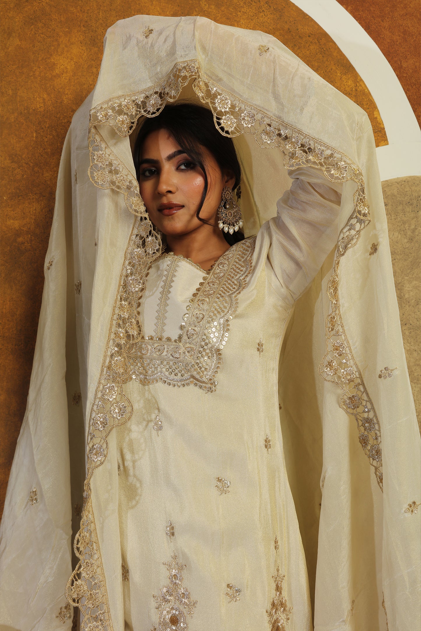 Embroidered Cutwork Tissue Suit
